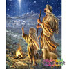 Full 5D Diamond Painting Herders bij nacht 45 x 60 cm