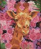 Crystal Art kit Giraffe &amp; Flowers portrait 21 x 25 cm