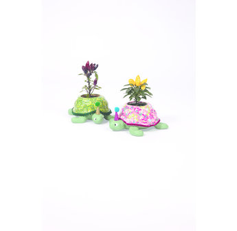 Home deco Bloempot Schildpad