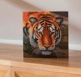 Crystal Card kit diamond painting The Tiger 18 x 18 cm