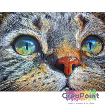 Full 5D Diamond Painting Grijze Kat close-up 50 x 40 cm