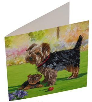 Crystal Card kit diamond painting Dogs 18 x 18 cm