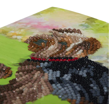 Crystal Card kit diamond painting Dogs 18 x 18 cm