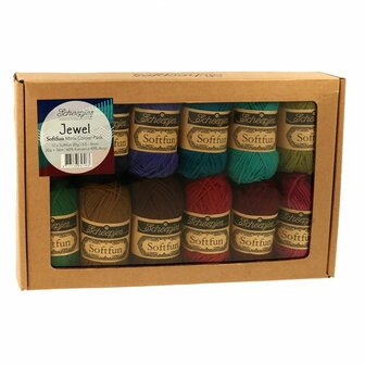 Scheepjes Softfun Colour Pack Jewel 65706 12x20gr