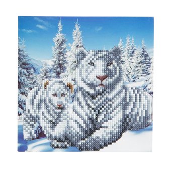 Crystal Card kit diamond painting Snowy White Tigers  18x18cm