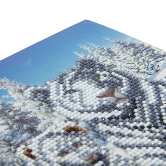 Crystal Card kit diamond painting Snowy White Tigers  18x18cm