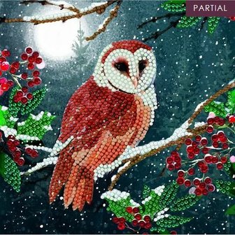 Crystal Card kit diamond painting Barn Owl (partial) 18 x 18 cm