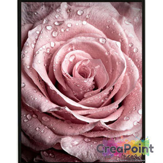 Full 5D Diamond Painting  Roos roze bloem 30 x 40 cm