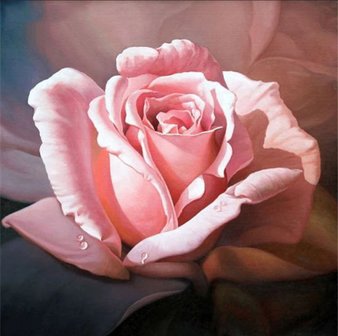 Full 5D Diamond Painting ROOS ROZE 30 x 30 cm 