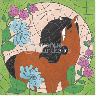 Graffy Pop Kleurboek Paarden kleuren op nummer spiraal gebonden