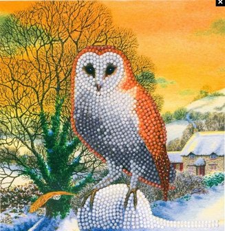 Crystal Card kit diamond painting Winter Owl (partial) 18 x 18 cm