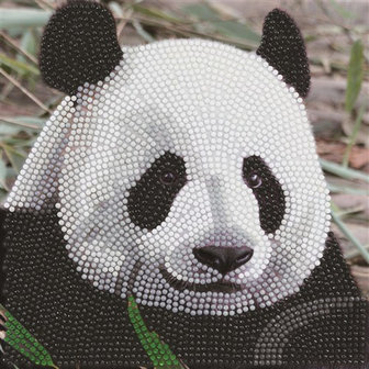 Crystal Card kit Funny Face Panda (partial) 18x18 cm