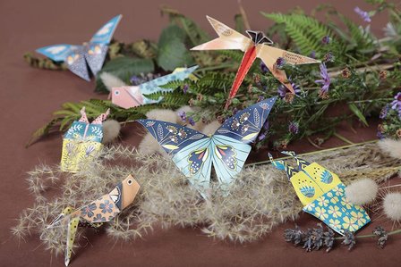 Origami papier Insecten , set met 3 maten 60 vel 70g - met motief