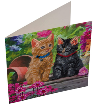 Crystal Card kit diamond painting Cat Friends 18 x 18 cm