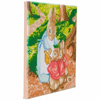 Crystal Art kit &reg; Mrs Josephine &amp; the Flopsy Bunnies Peter Rabbit 30 x 30 cm diamond painting