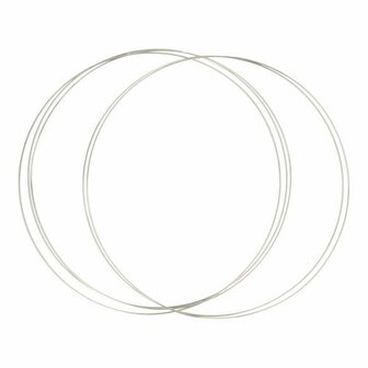 25 cm RVS ring