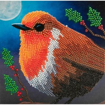 Christmas Crystal Card kit diamond painting Robin  18 x 18 cm