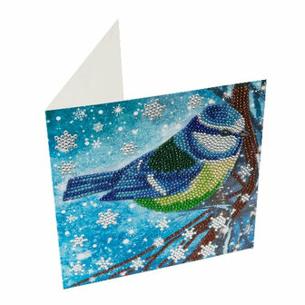 Christmas Crystal Card kit diamond painting Festive Bird 18 x 18 cm