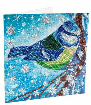 Christmas Crystal Card kit diamond painting Festive Bird 18 x 18 cm
