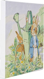 Schilderen op nummer Peter Rabbit and Robin (30x30cm) Craft Buddy