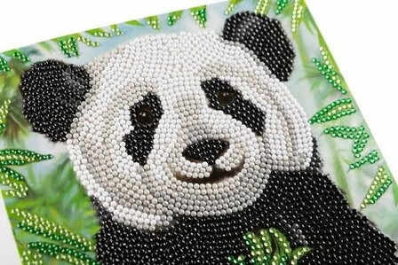 Crystal Card kit diamond painting Baby Panda - Martha Bowyer 18 x 18 cm