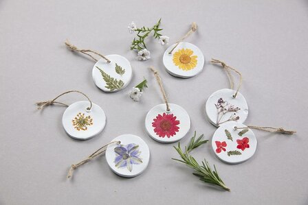 Geperste droogbloemen - Set diverse bloemen 12 stuks Prairie