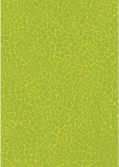 Decopatch papier limegroen moza&iuml;k 