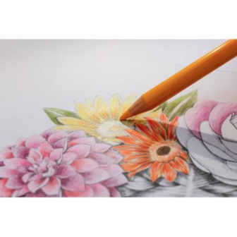 Odelia kleurboek volwassenen - thema women - 