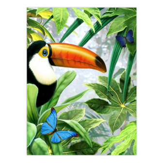  Painting by Numbers Jungle &ndash; 4 Project Box Set  Royal &amp; Langnickel 