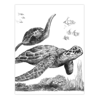  Sketching Made Easy&trade; &ndash; 21-delige Sea Life 4 Project Box Set Royal &amp; Langnickel 