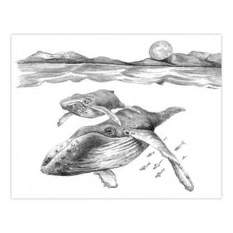  Sketching Made Easy&trade; &ndash; 21-delige Sea Life 4 Project Box Set Royal &amp; Langnickel 