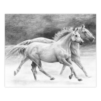  Sketching Made Easy&trade; &ndash; 33-delige set inheemse dieren 9 tekenprojecten Royal &amp; Langnickel 