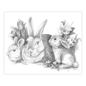  Sketching Made Easy&trade; &ndash; 33-delige set inheemse dieren 9 tekenprojecten Royal &amp; Langnickel 