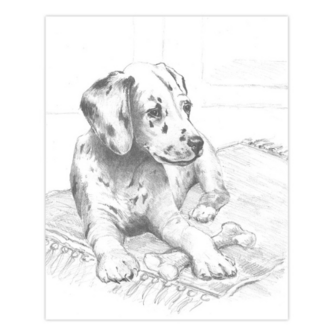  Sketching Made Easy&trade; &ndash; 33-delige set inheemse dieren 9 tekenprojecten Royal &amp; Langnickel 