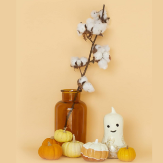 Decopatch Fles Pompoen