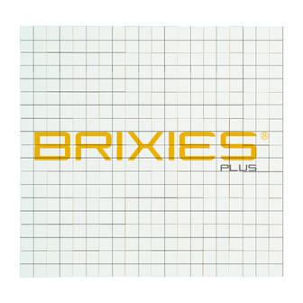 Brixies wenskaart tijger 16 x16 cm