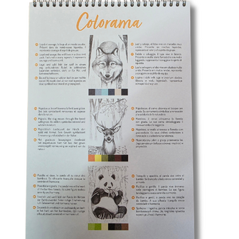 Odelia kleurboek volwassenen - thema animals