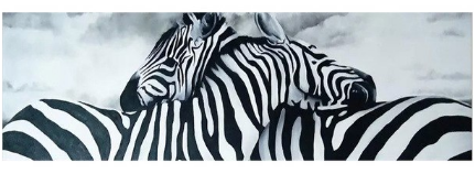 Full 5D Diamond Painting 2 Zebra&#039;s 120 x 35 cm