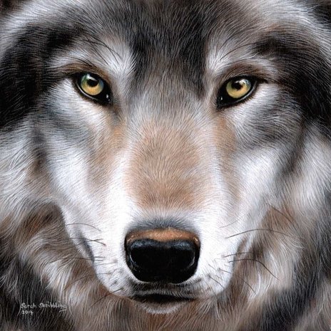 Crystal Art kit Wolf (full) 30 x 30 cm