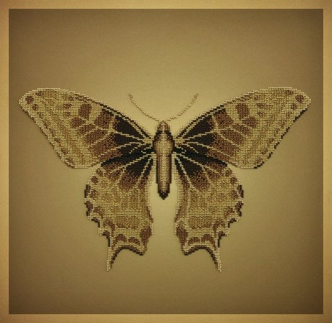 Miniart Crafts Golden Butterfly 40 x 40 cm borduren met kralen