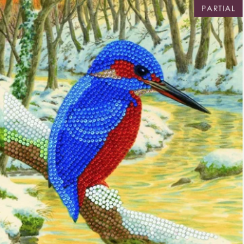 Crystal Card kit diamond painting Kingfisher 18 x 18 cm