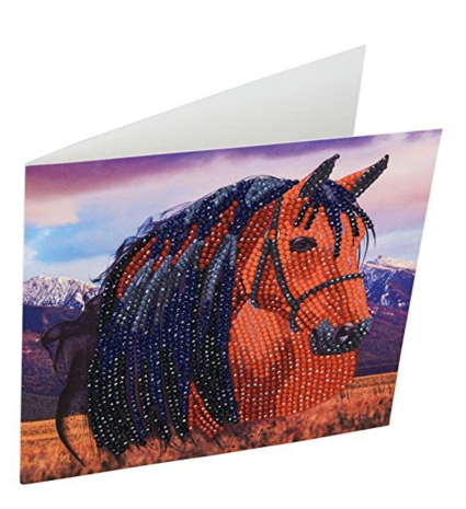 Crystal Card kit diamond painting Horse 18 x 18 cm