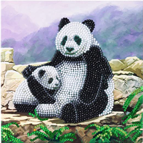 Crystal Card kit diamond painting Panda 18 x 18 cm