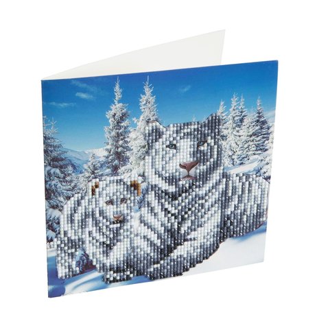 Crystal Card kit diamond painting Snowy White Tigers  18x18cm
