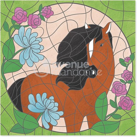 Graffy Pop Kleurboek Paarden kleuren op nummer spiraal gebonden