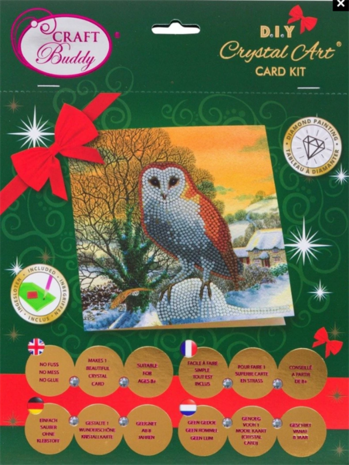 Crystal Card kit diamond painting Winter Owl (partial) 18 x 18 cm