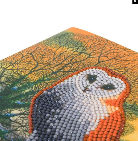 Crystal Card kit diamond painting Winter Owl (partial) 18 x 18 cm