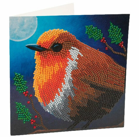 Christmas Crystal Card kit diamond painting Robin  18 x 18 cm