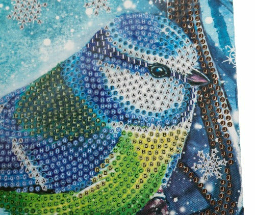 Christmas Crystal Card kit diamond painting Festive Bird 18 x 18 cm