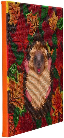 Crystal Art kit Autumn Hedgehog 30x30 cm (partial)